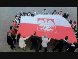 Scena z wyborów w Dniu Świra